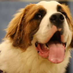 photograph by PeterW